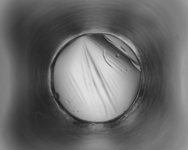 X0000096381006200802211117