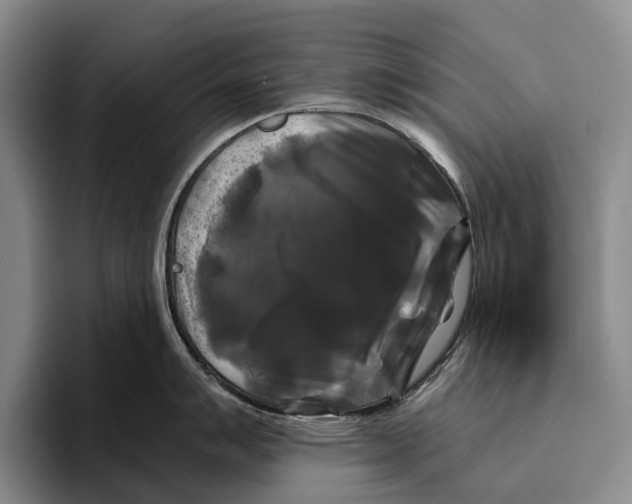 X0000096381007200802211117