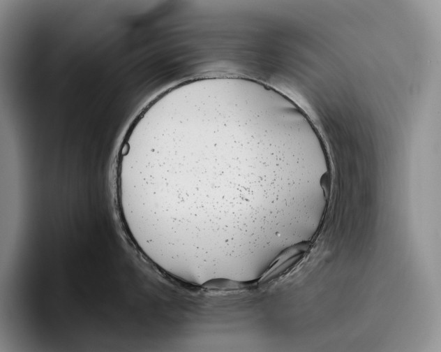 X0000096381008200802211117