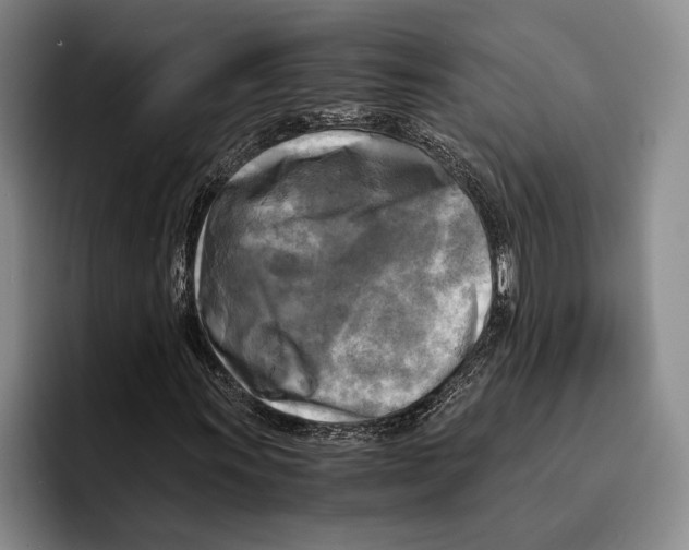 X0000096381011200802211117