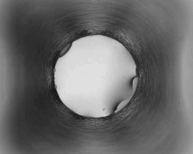 X0000096381012200802211117