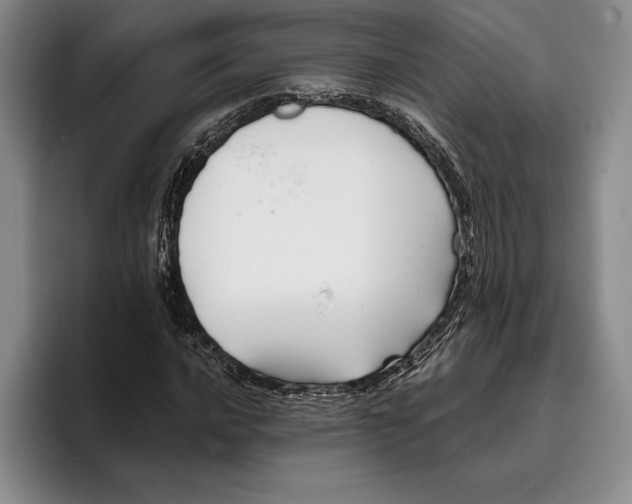 X0000096381016200802211117