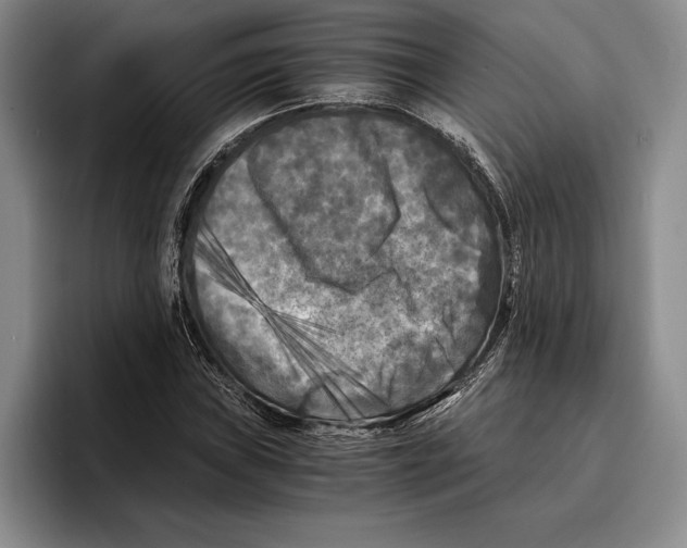 X0000096381019200802211117