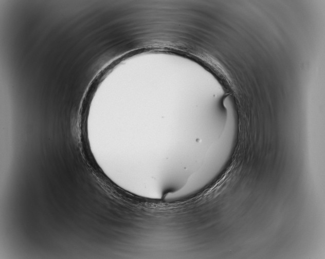 X0000096381020200802211117