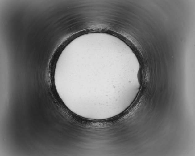 X0000096381022200802211117