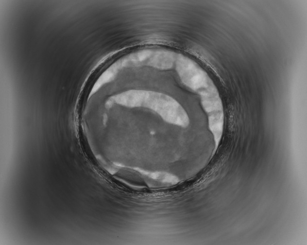 X0000096381024200802211117