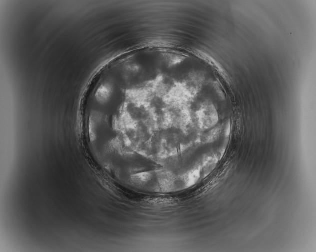 X0000096381027200802211117