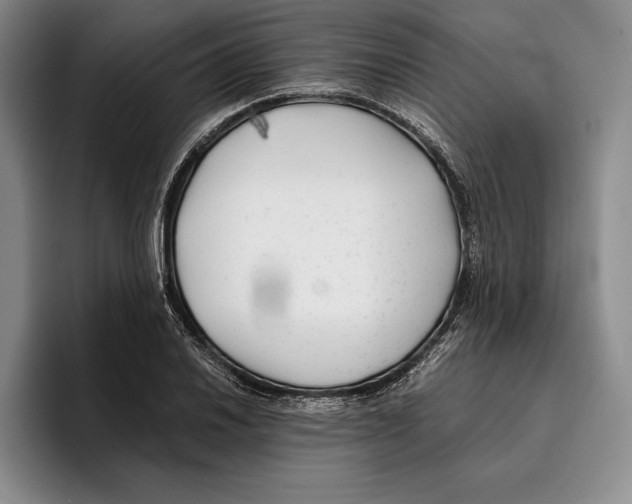 X0000096381030200802211117