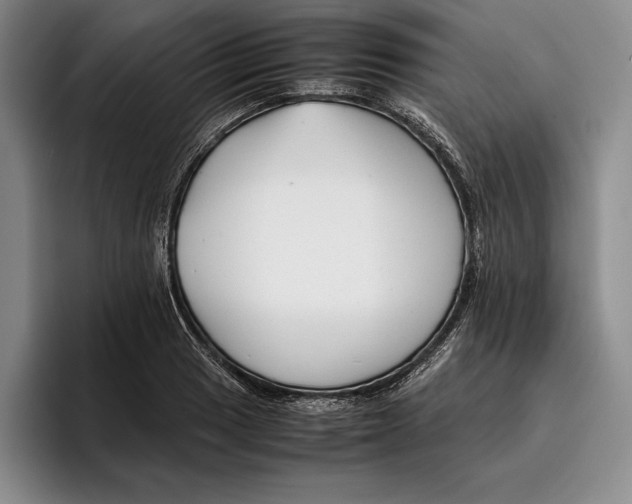 X0000096381033200802211117