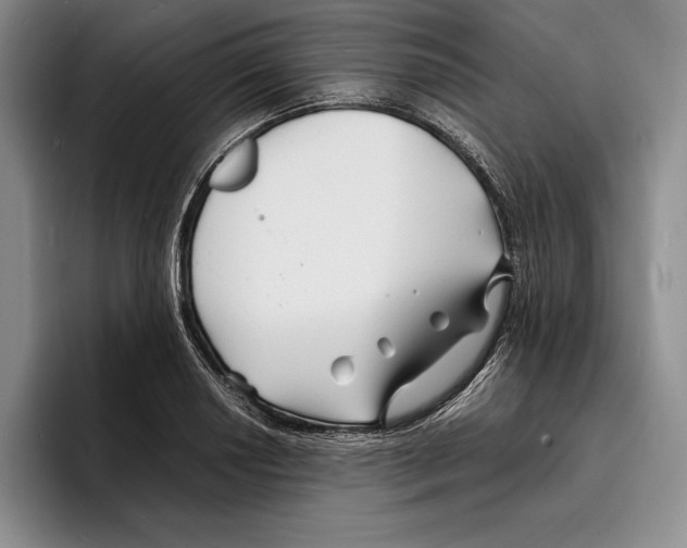 X0000096381034200802211117