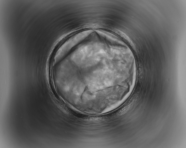 X0000096381035200802211117