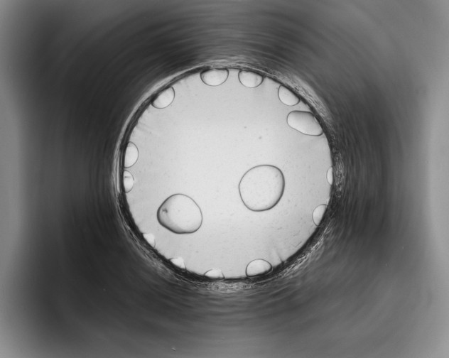 X0000096381036200802211117