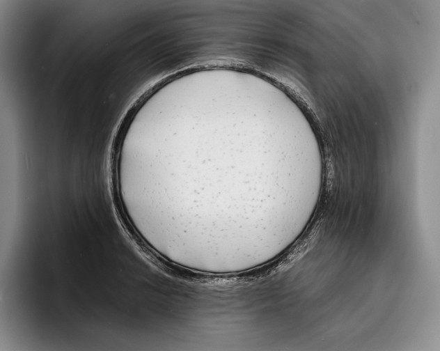 X0000096381038200802211117