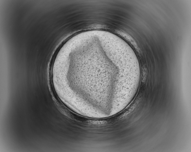 X0000096381039200802211117