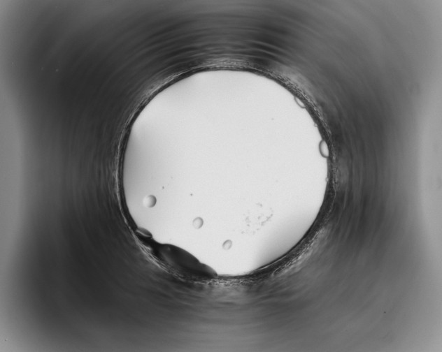 X0000096381041200802211117