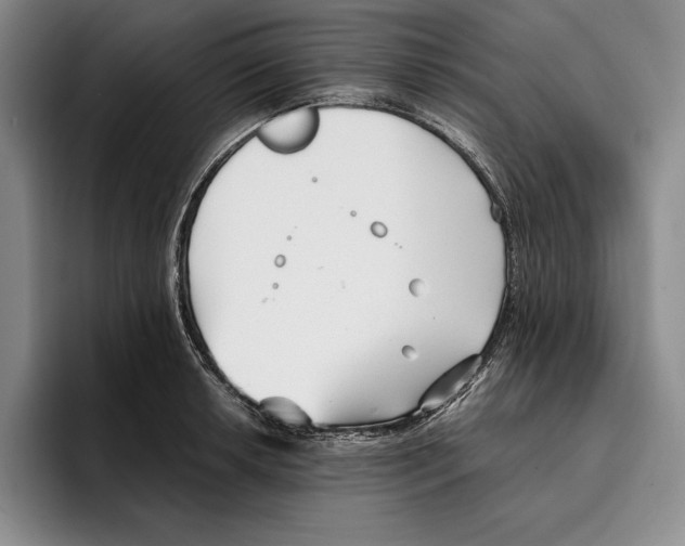 X0000096381042200802211117