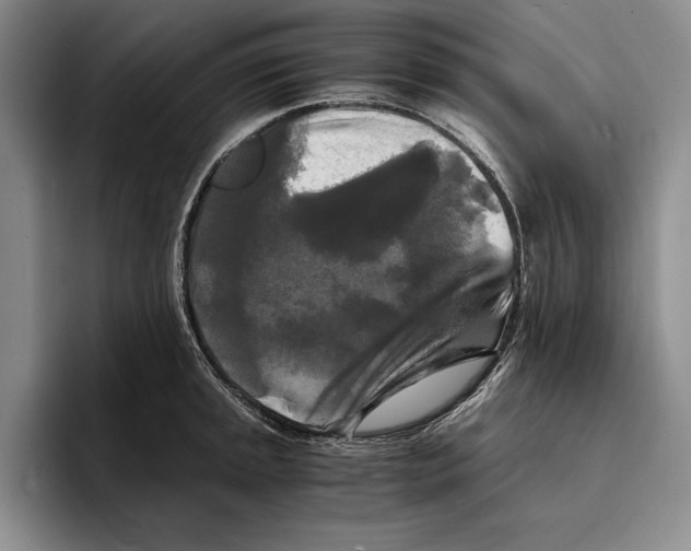 X0000096381045200802211117