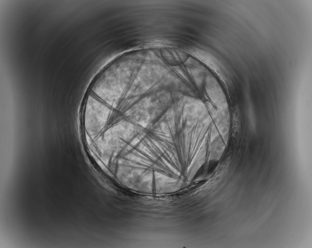 X0000096381047200802211117
