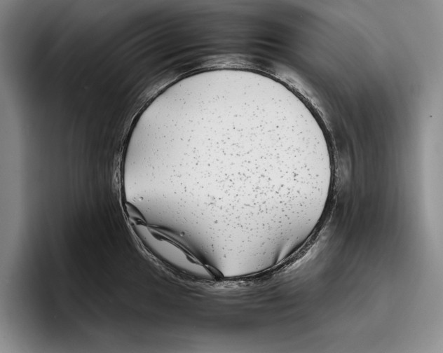 X0000096381049200802211117