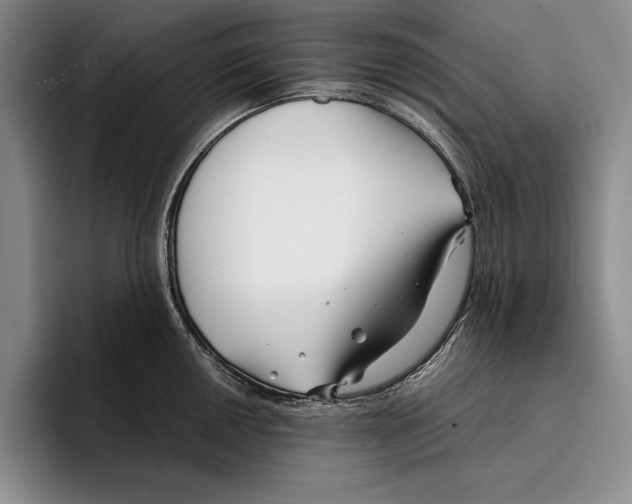 X0000096381050200802211117