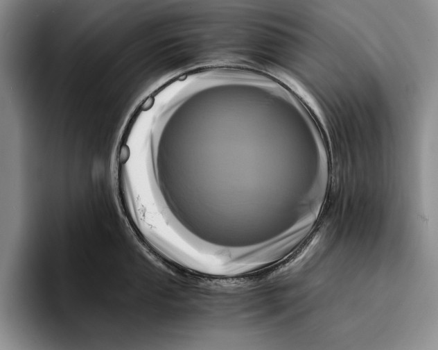 X0000096381053200802211117