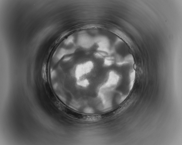 X0000096381055200802211117