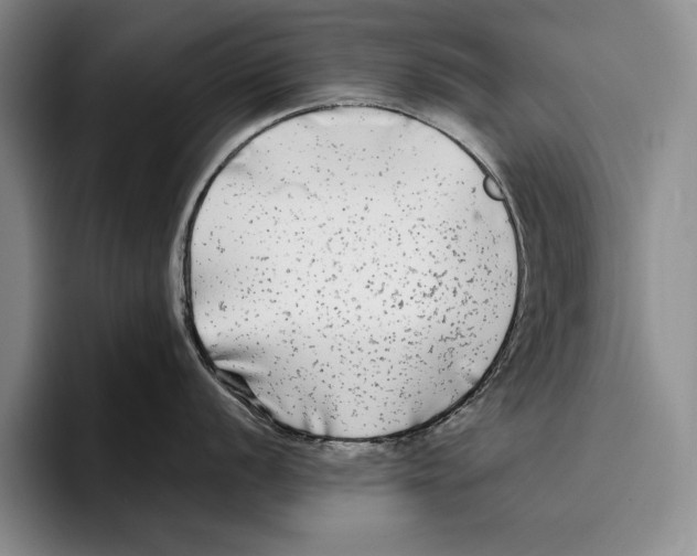 X0000096381056200802211117