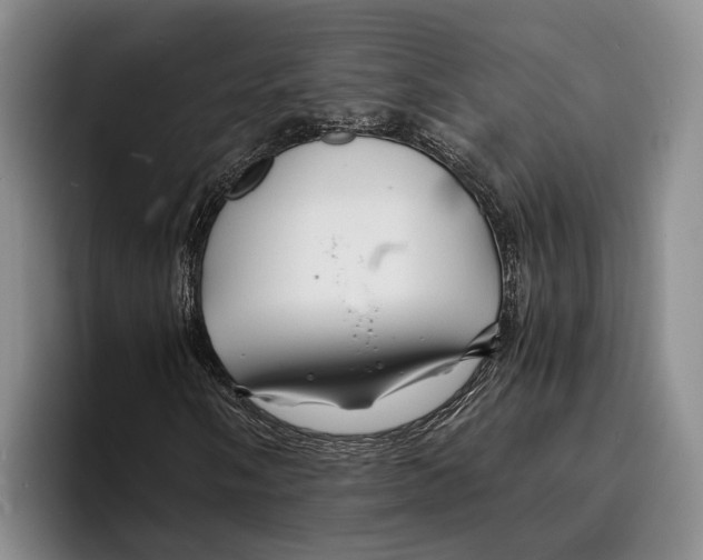 X0000096381058200802211117