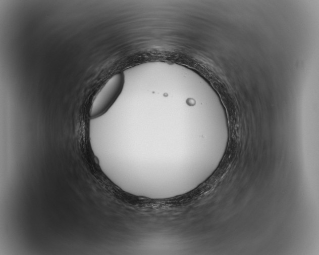 X0000096381061200802211117