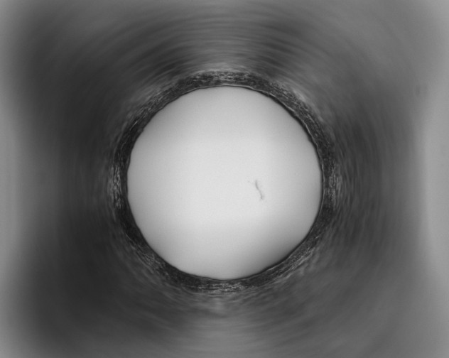 X0000096381062200802211117