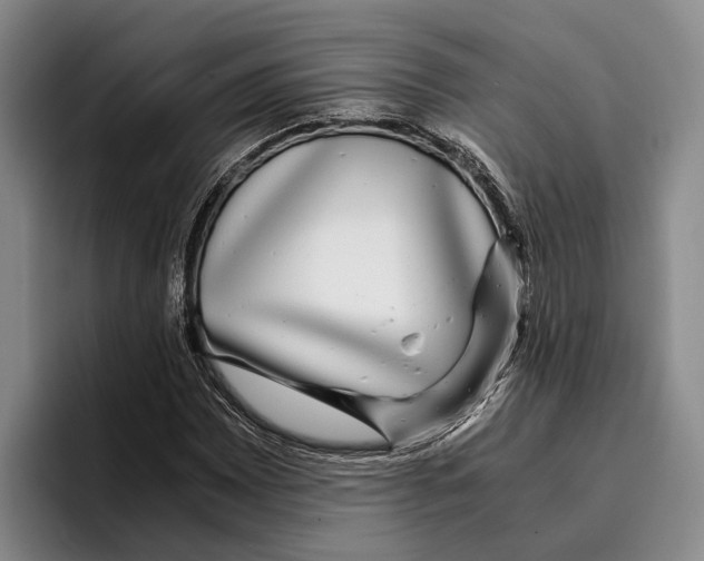 X0000096381065200802211117