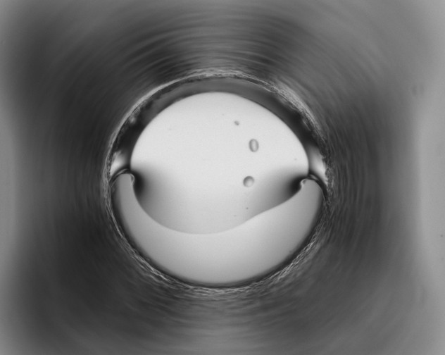 X0000096381068200802211117