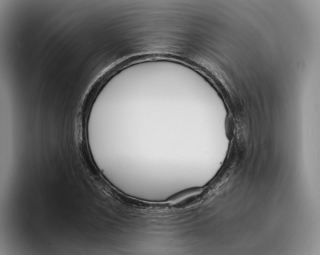 X0000096381069200802211117