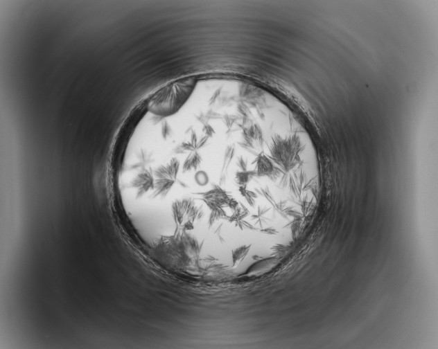 X0000096381072200802211116