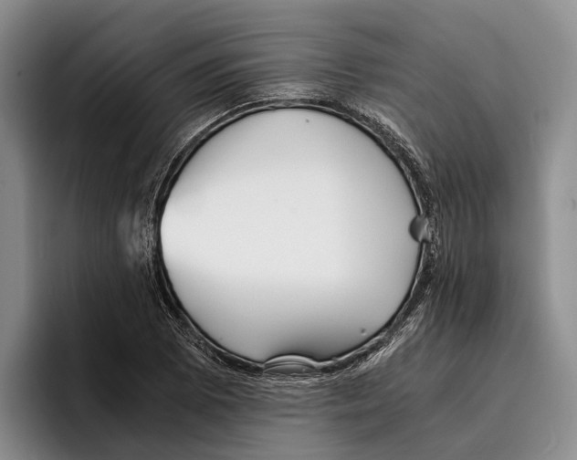 X0000096381073200802211116