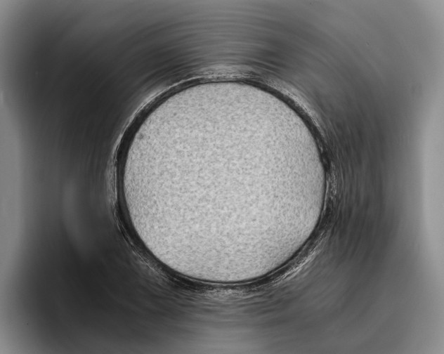 X0000096381075200802211116