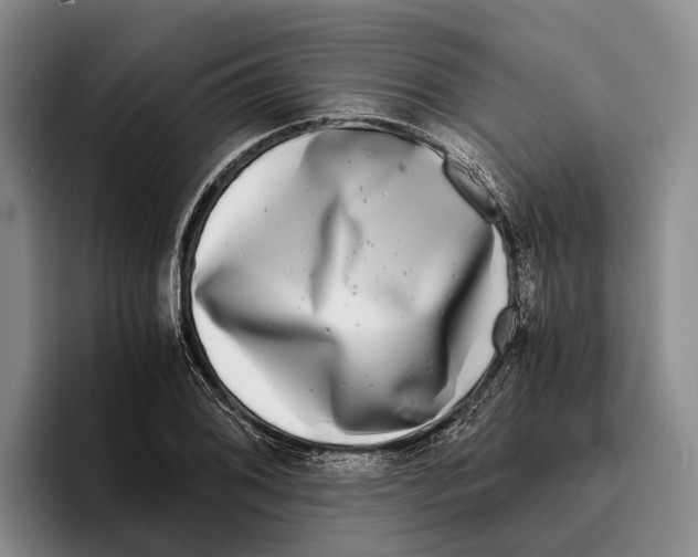 X0000096381076200802211116