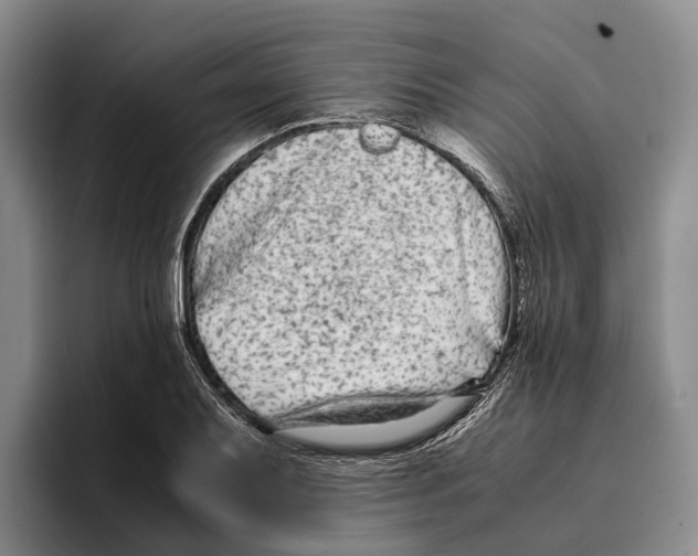 X0000096381079200802211116