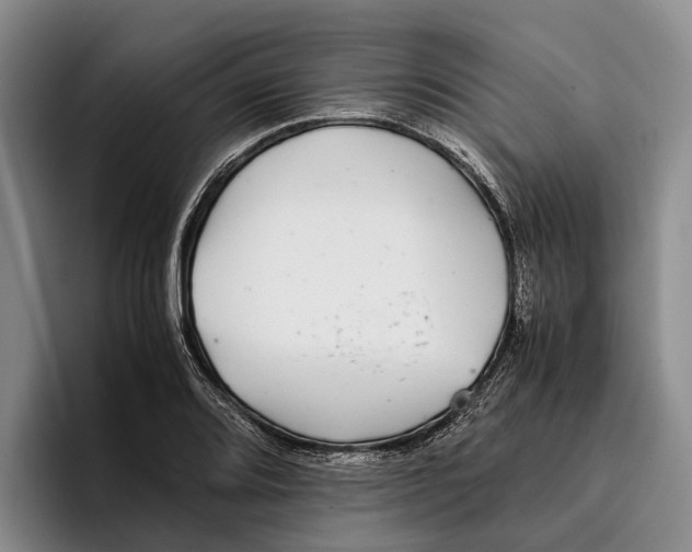 X0000096381080200802211116