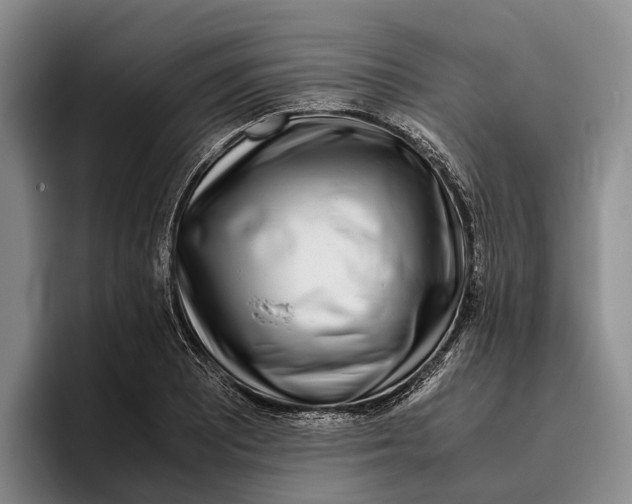 X0000096381081200802211116