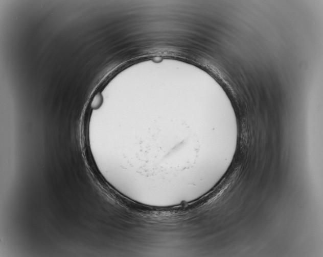 X0000096381082200802211116