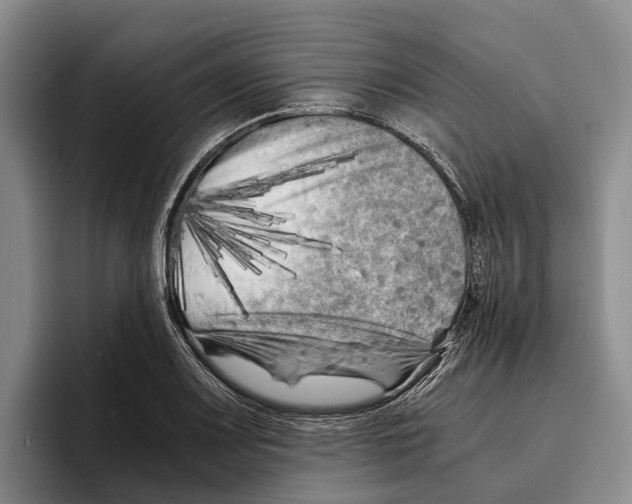 X0000096381083200802211116