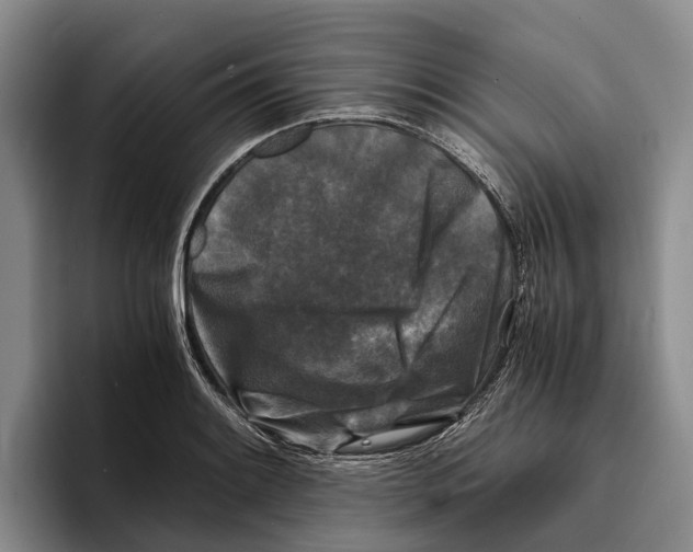 X0000096381084200802211116