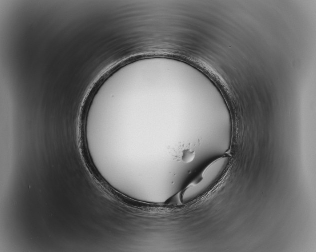 X0000096381085200802211116