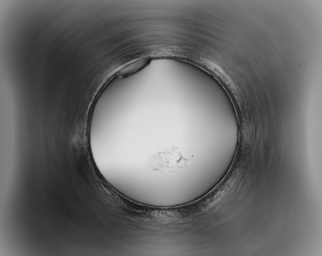 X0000096381089200802211116