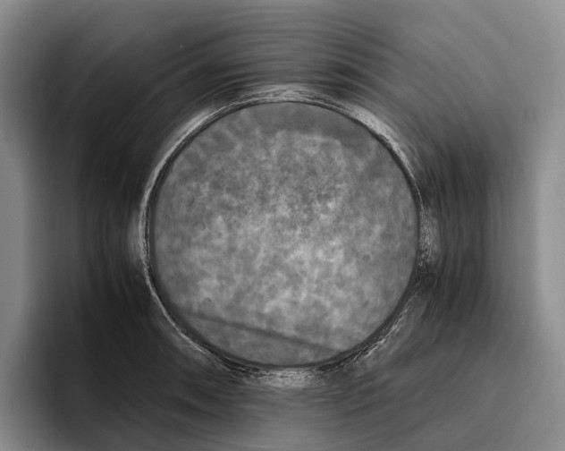 X0000096381090200802211116