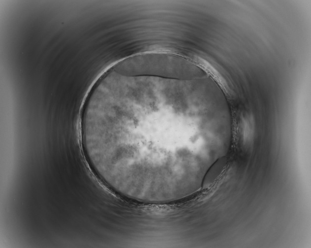 X0000096381092200802211116