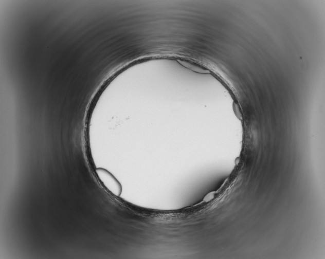 X0000096381093200802211116