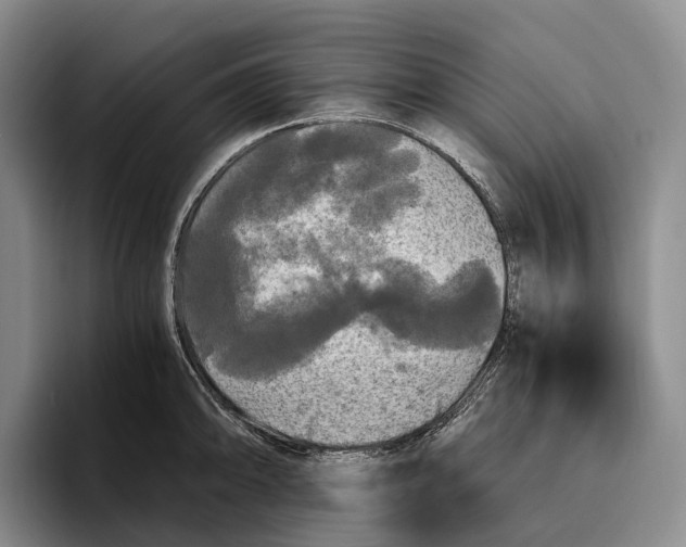 X0000096381094200802211116