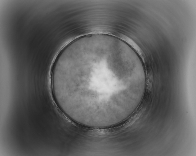 X0000096381096200802211116